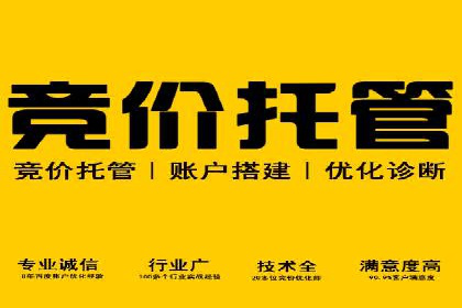 推广竞价实战技巧：成功案例教你如何制定策略